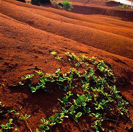 《影之刃零》灵感来源：魂系探索结合生化危机氛围